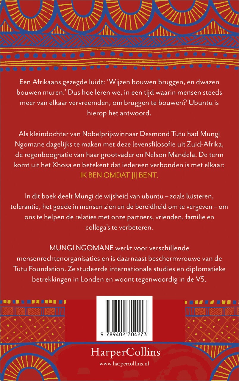De lessen van ubuntu (E-book)