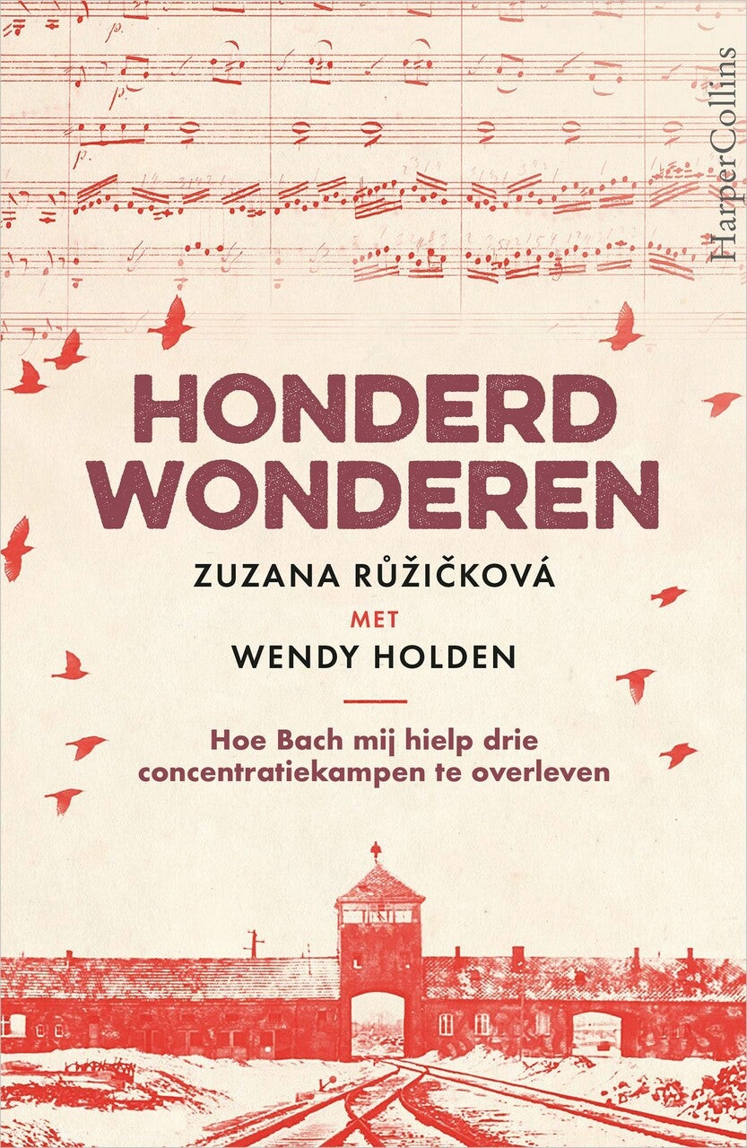 Honderd wonderen (E-book)