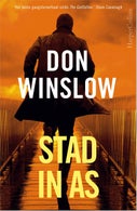 Stad in as (E-book)