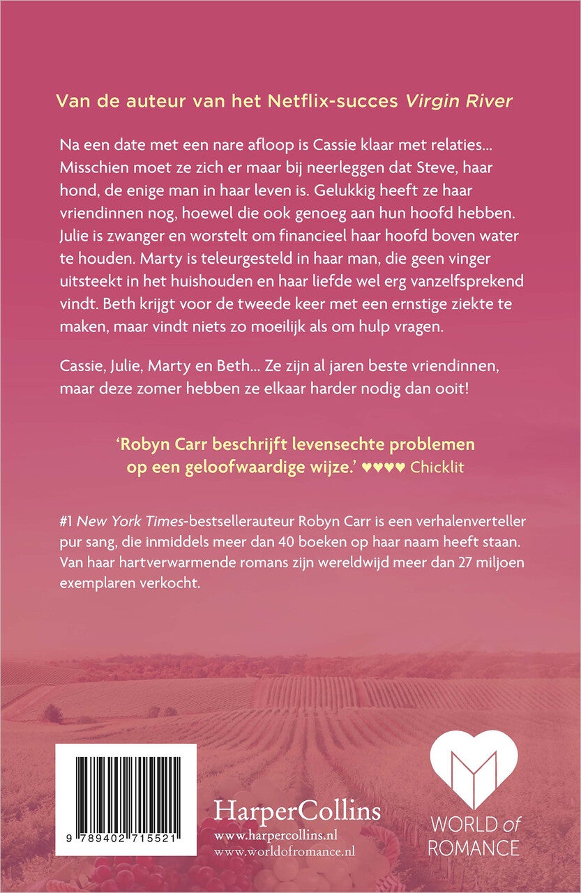 Een schitterende zomer (E-book)