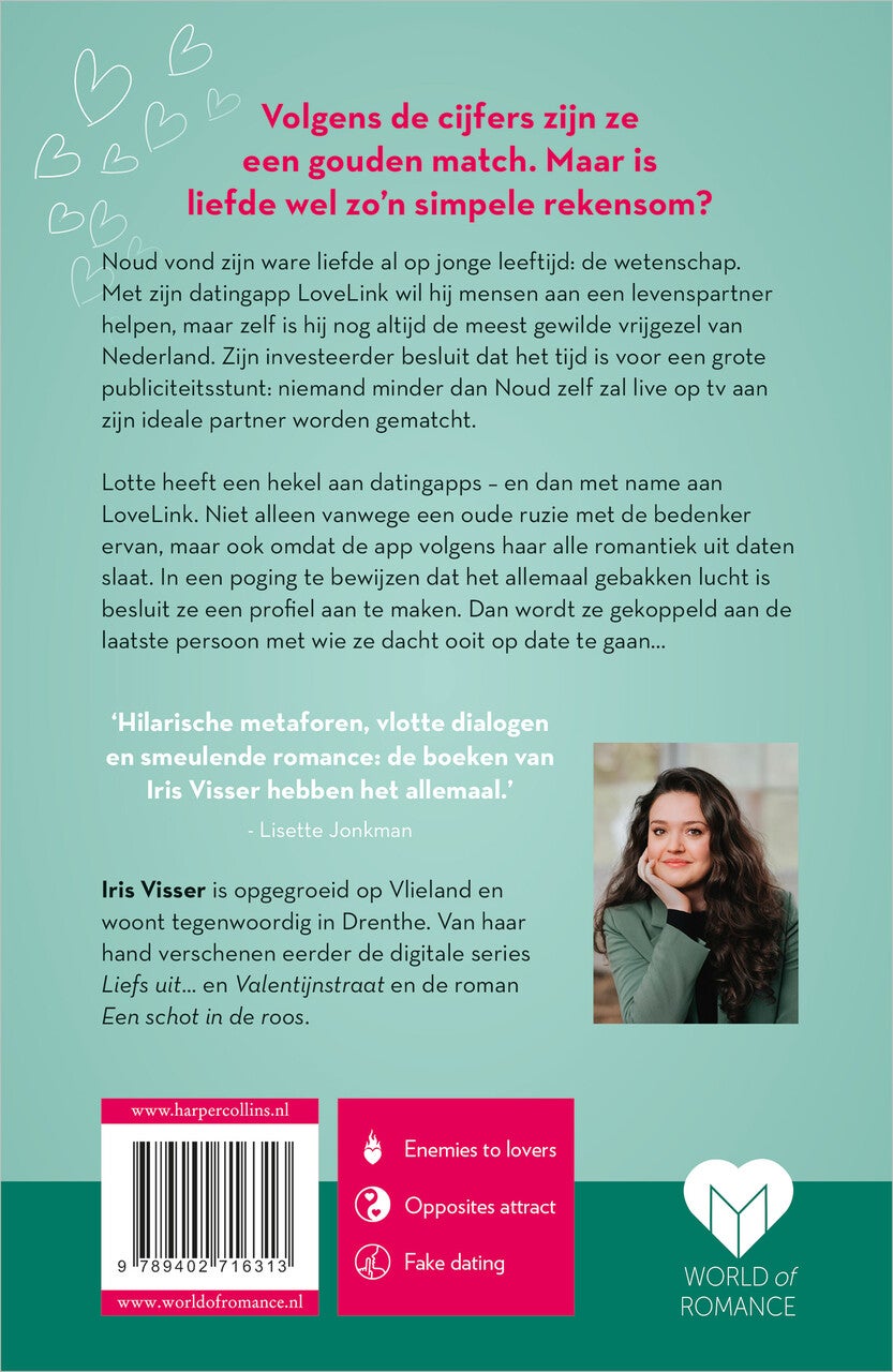 Het liefdesalgoritme (E-book)