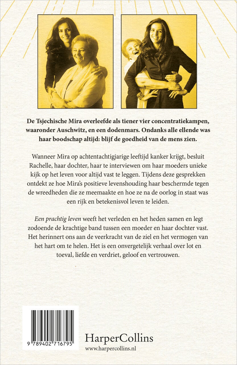 Een prachtig leven (E-book)