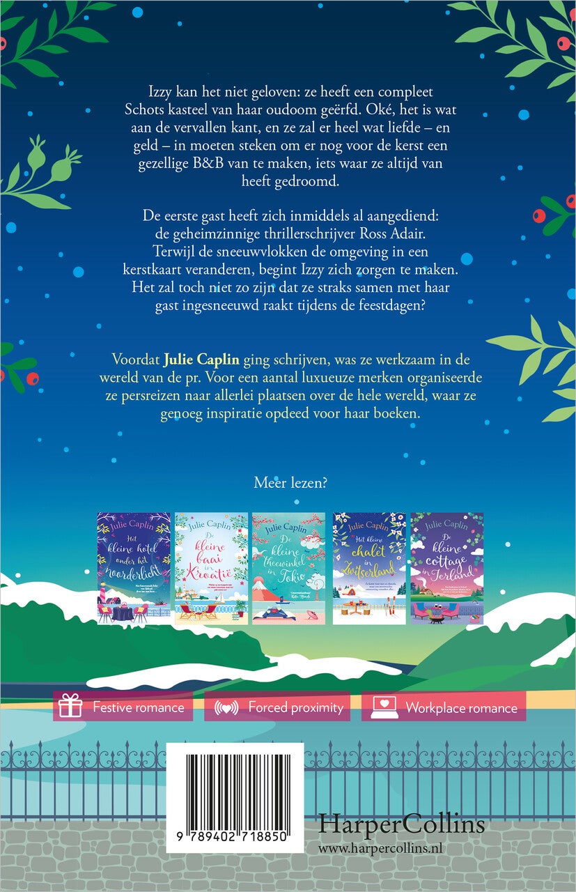 Het kleine kasteel in Schotland (E-book)