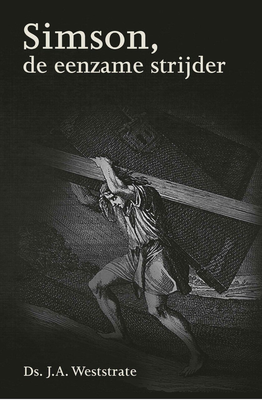 Simson, de eenzame strijder (E-book)