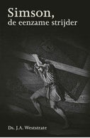 Simson, de eenzame strijder (E-book)
