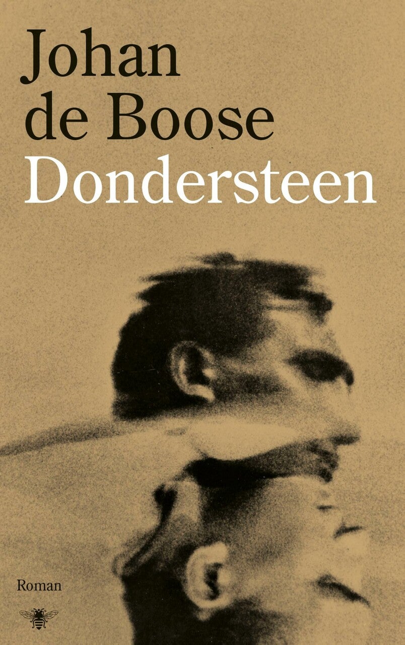 Dondersteen (E-book)
