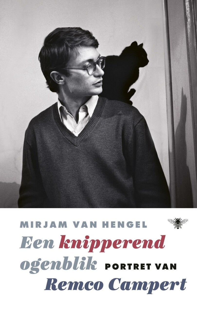 Een knipperend ogenblik (E-book)