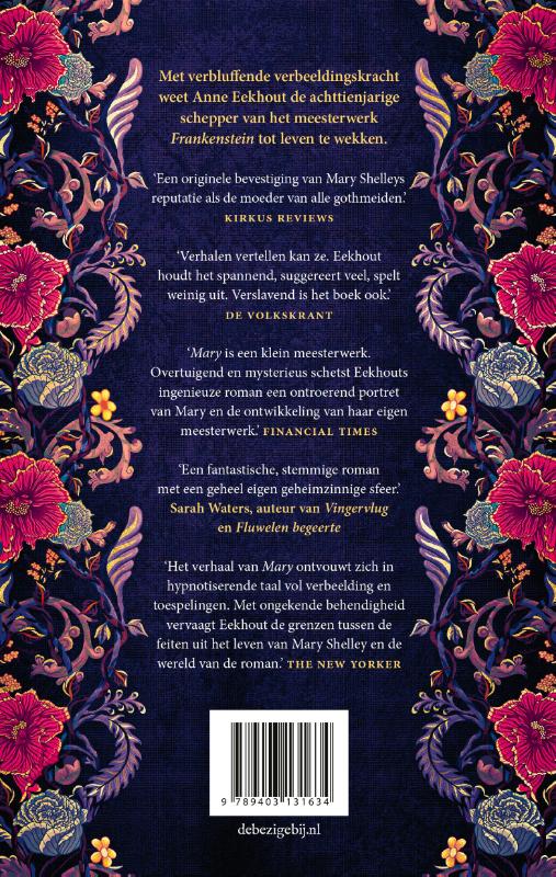 Mary (Paperback)