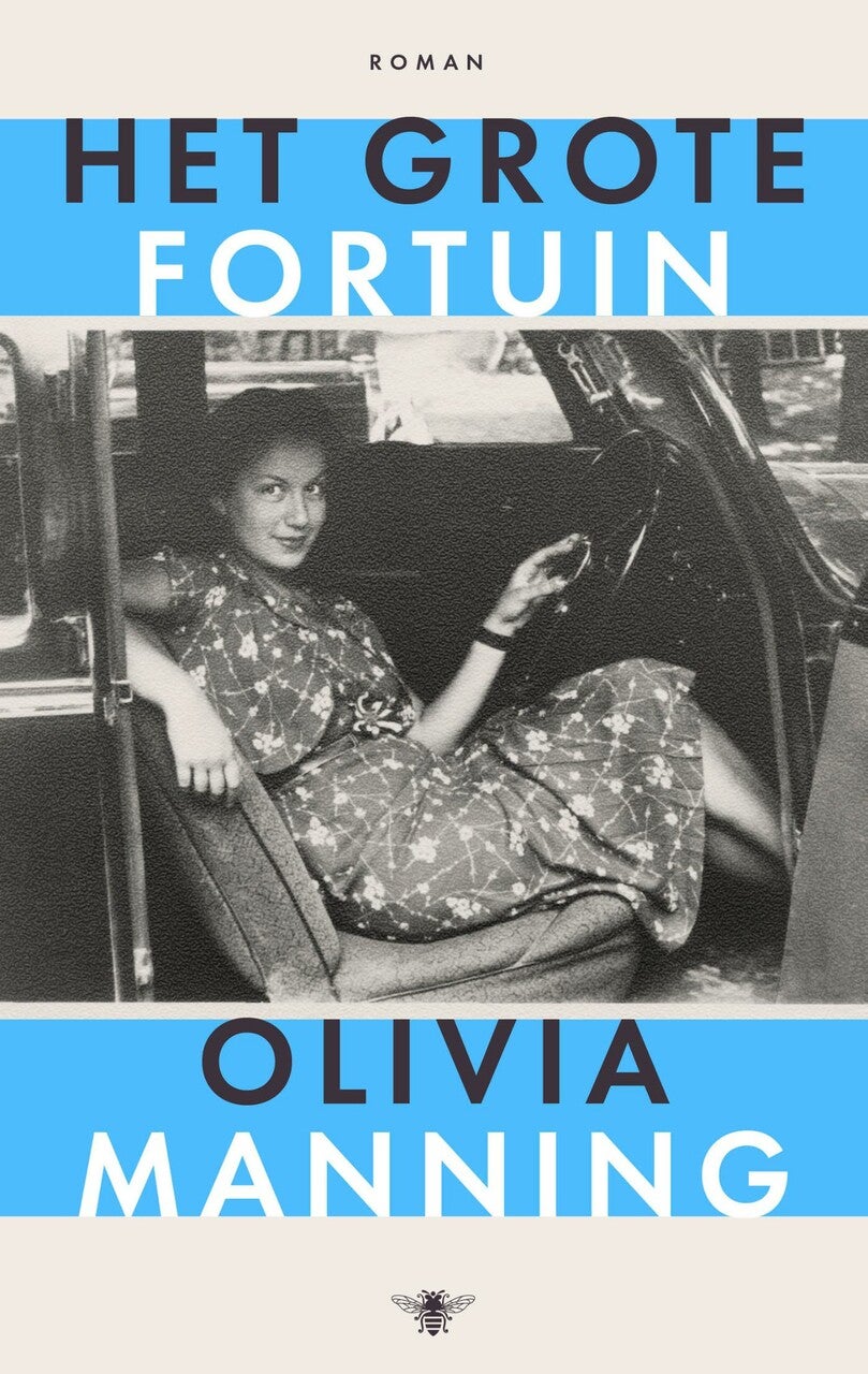 Het grote fortuin (Paperback)
