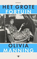 Het grote fortuin (Paperback)