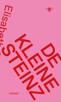 De kleine Steinz (E-book)