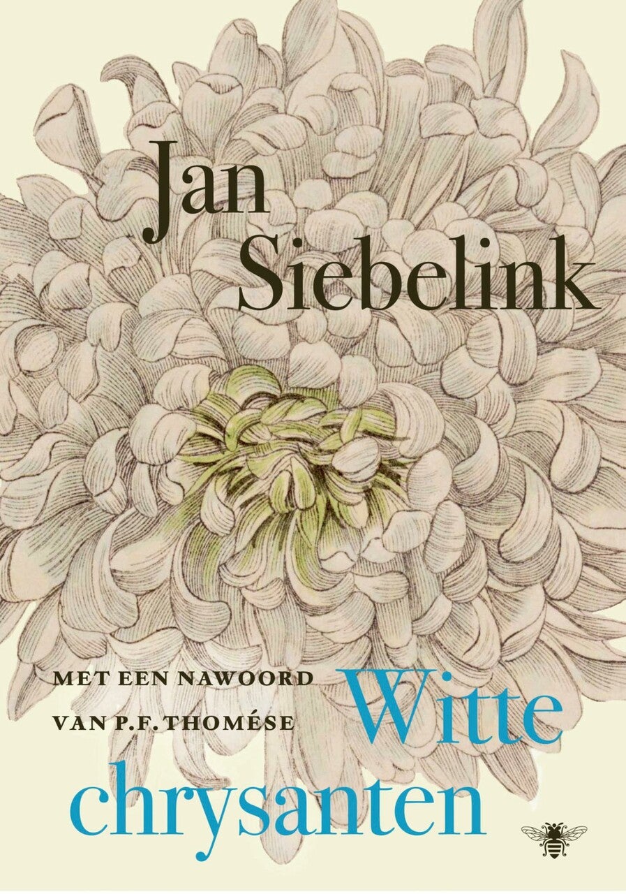 Witte chrysanten (Hardback)
