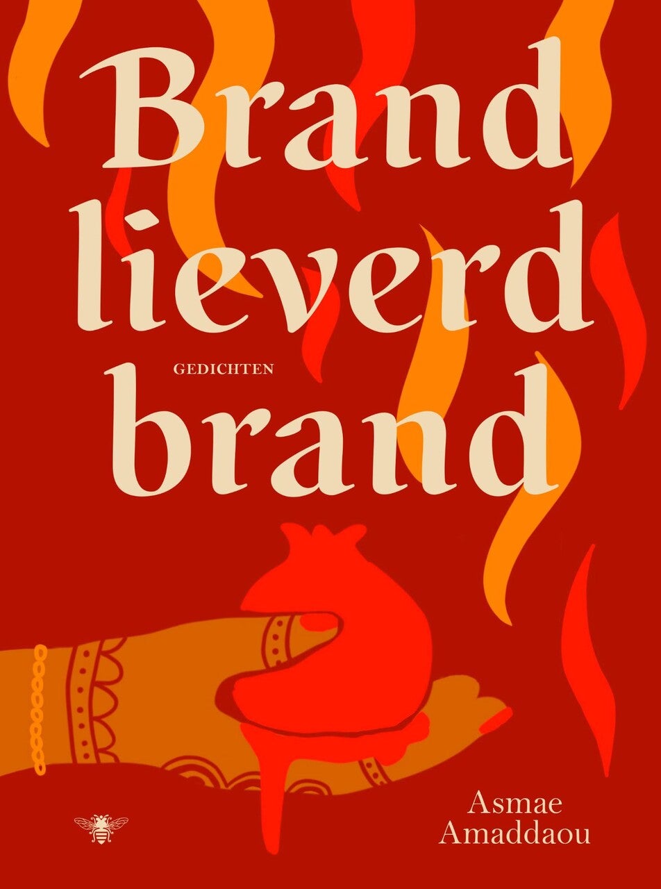 isbn-9789403136196_front_cover