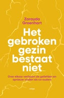 Het gebroken gezin bestaat niet (E-book)