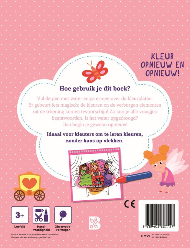 Prinsessen en feeën (Paperback)