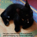 I'm Leo, a service dog in a cat jacket, and I'm helping my owner with PTSD (E-book)