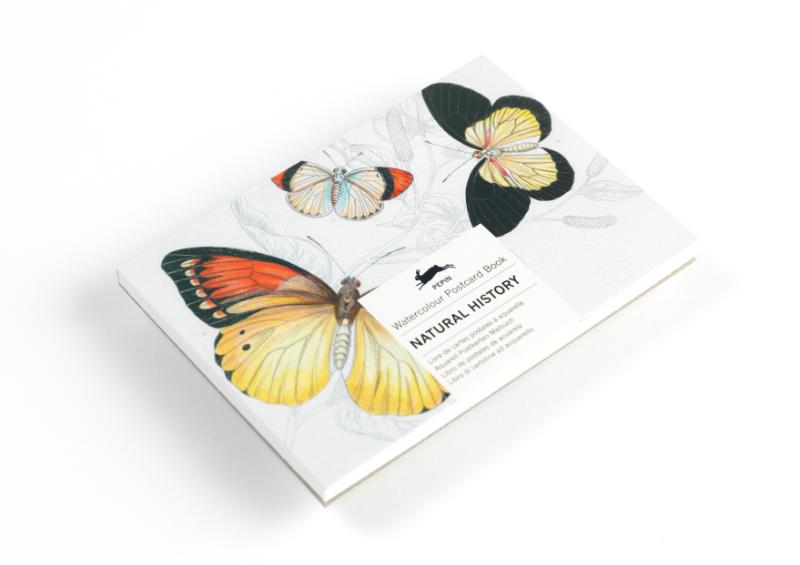 Natural History (Hardback)