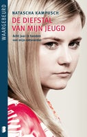 De diefstal van mijn jeugd (E-book)