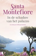 In de schaduw van het palazzo (E-book)