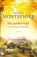 Het gouden licht (E-book)