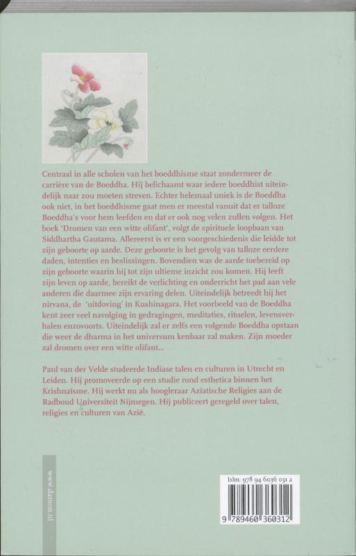 Dromen van een witte olifant (Paperback)