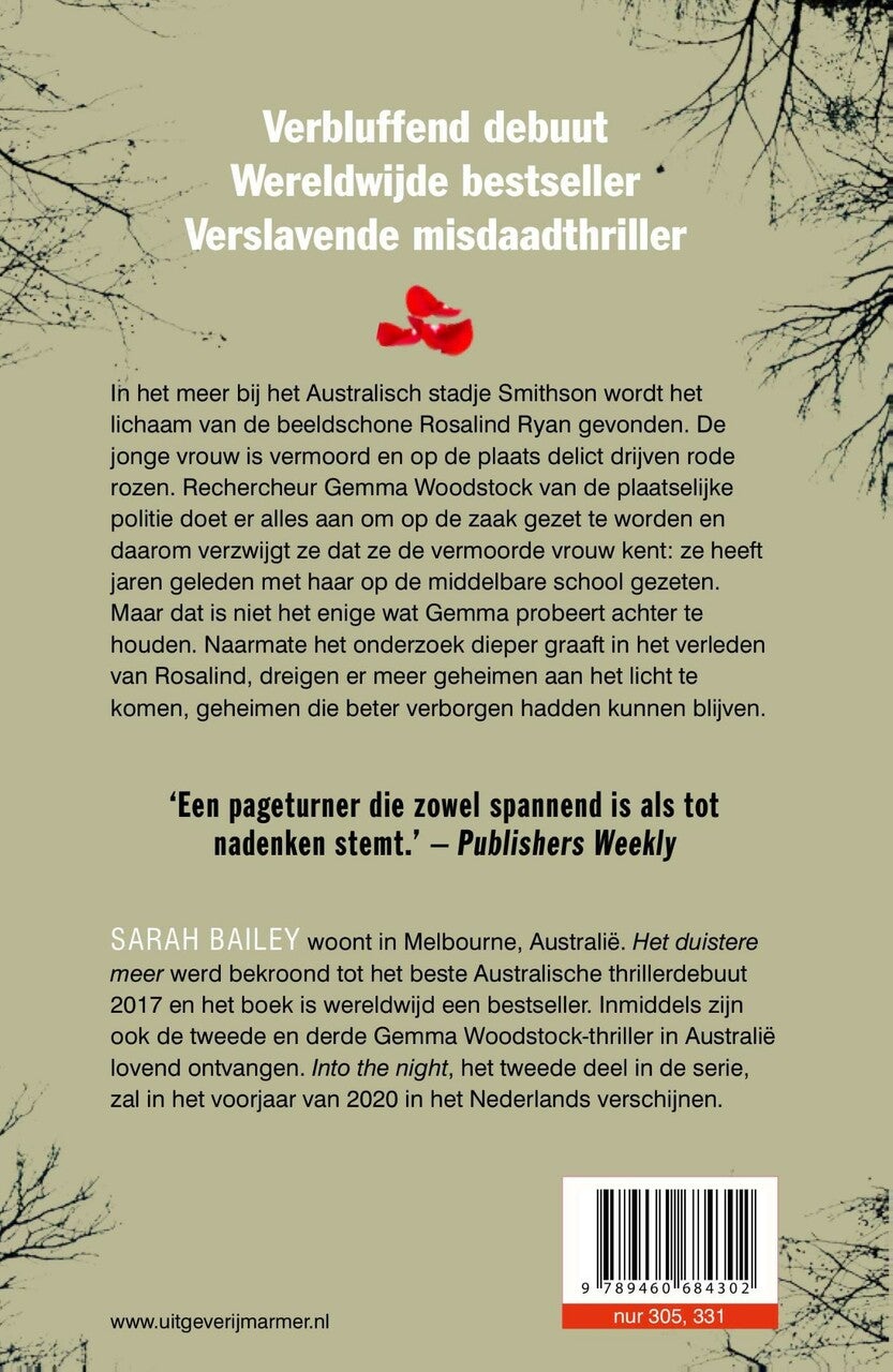 Het duistere meer (E-book)