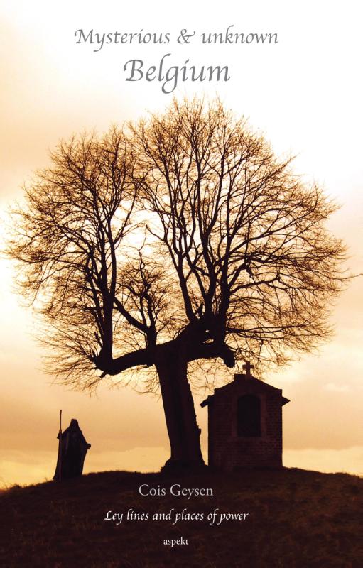 isbn-9789461533296_front_cover