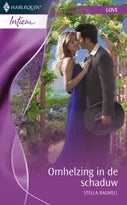 Omhelzing in de schaduw (E-book)