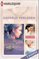 Gedeeld verleden (E-book)