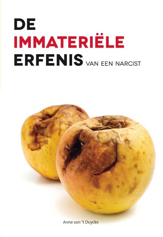 De immateriele erfenis van een narcist (Paperback)