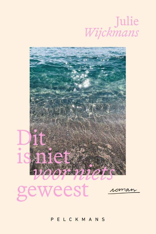 Dit is niet voor niets geweest (Paperback)