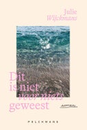 Dit is niet voor niets geweest (Paperback)