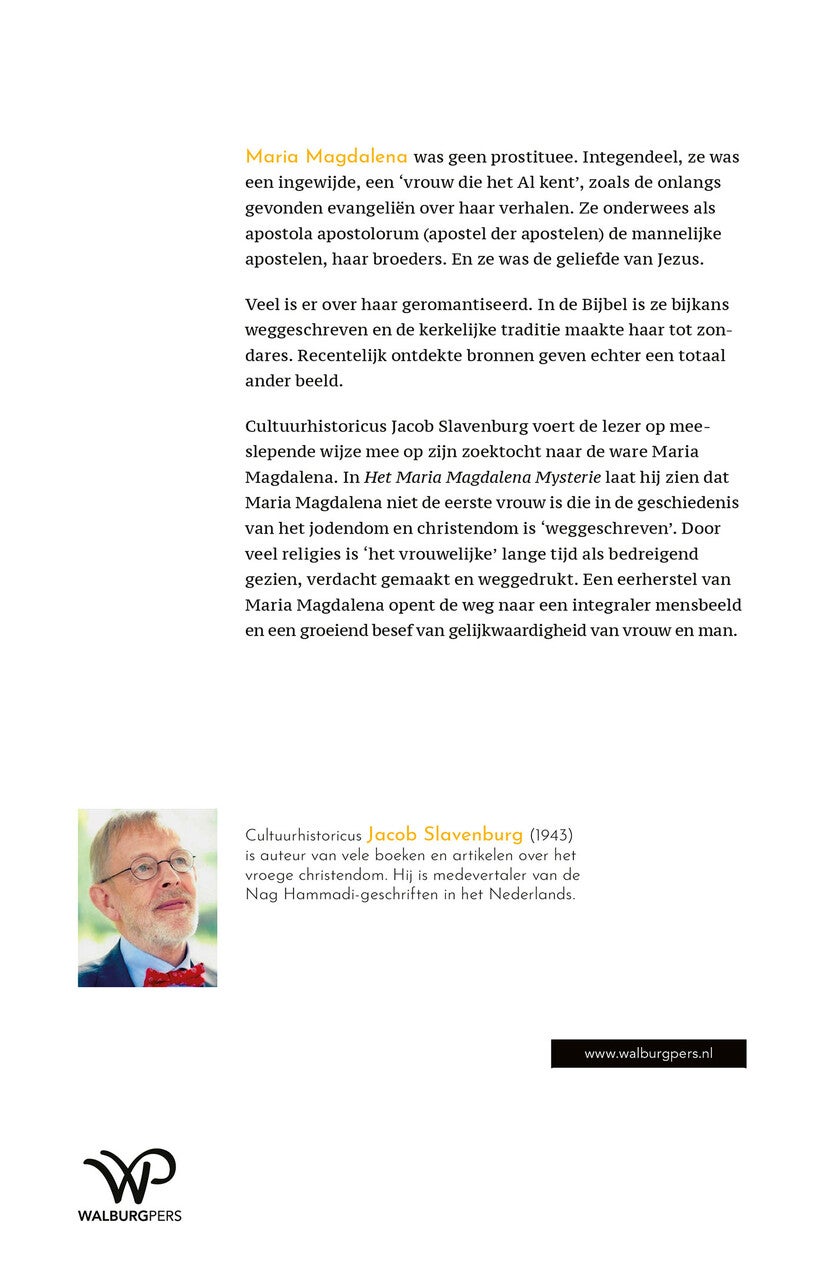 Het Maria Magdalena Mysterie (E-book)