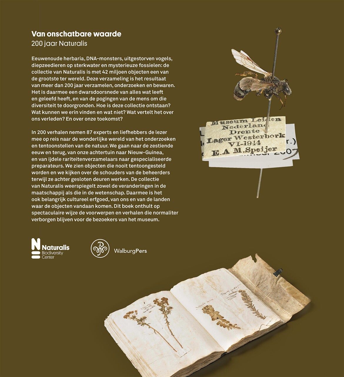 Van onschatbare waarde (E-book)