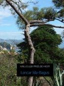 Halleluja prijs de heer (E-book)