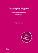 Tekstuitgave jeugdwet (E-book)