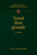 Troost door genade (E-book)
