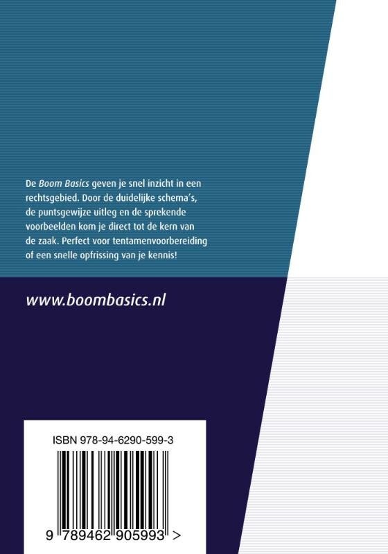Boom Basics Privacyrecht (Paperback)