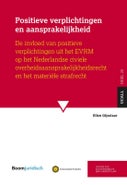 Positieve verplichtingen en aansprakelijkheid (Paperback)
