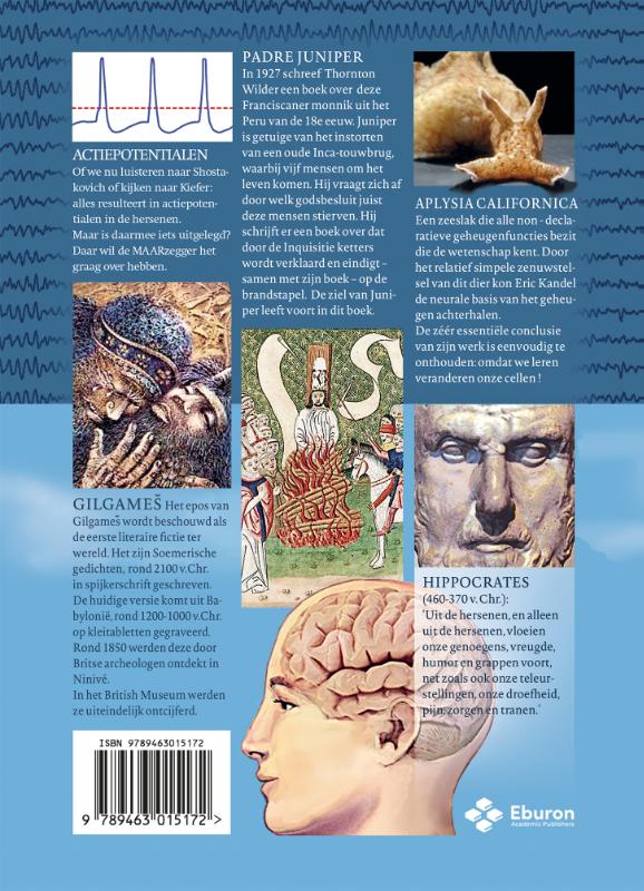 De MAARzegger in hersenland (Paperback)