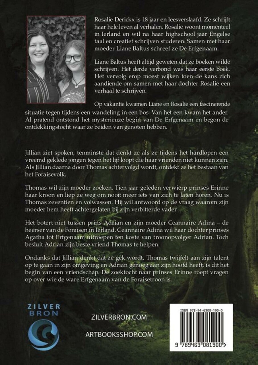 De erfgenaam (E-book)