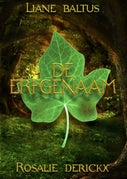 De erfgenaam (E-book)