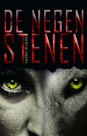 De negen stenen (E-book)