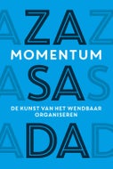 Momentum (Hardback)