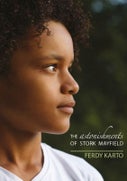 The Astonishments of Stork Mayfield (Paperback)