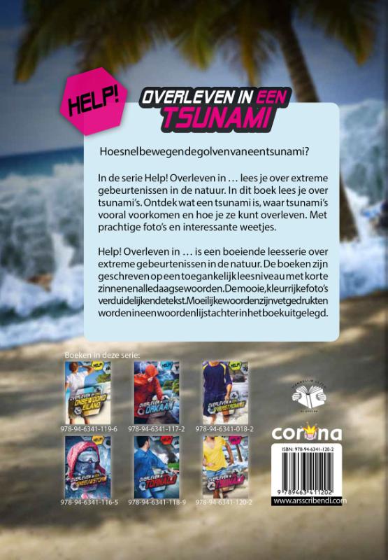 Overleven in een tsunami (Hardback)