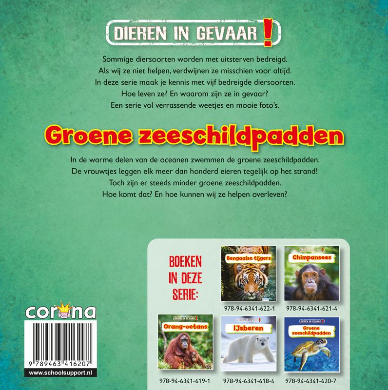 Groene zeeschildpadden (Hardback)