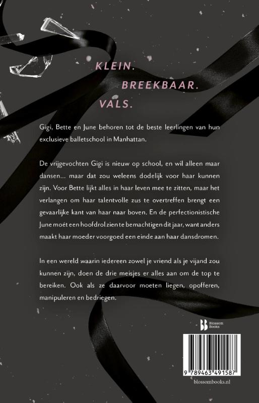 Tiny Pretty Things (Paperback)