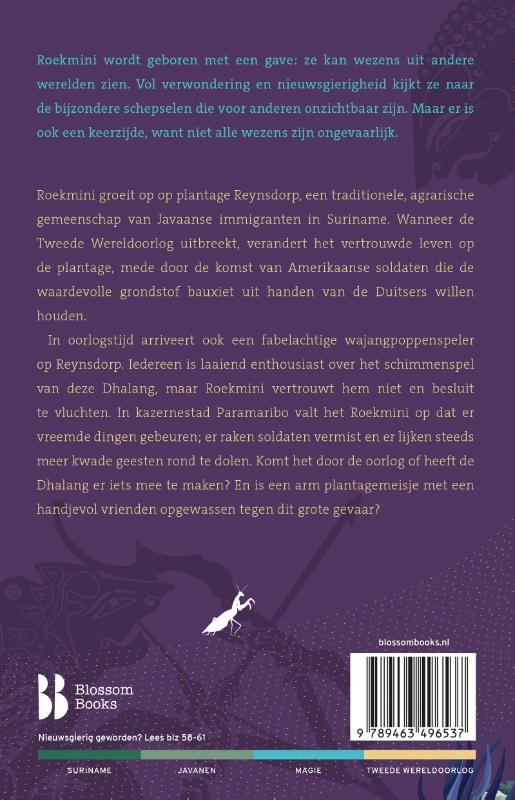 Schaduwtemmer (Paperback)