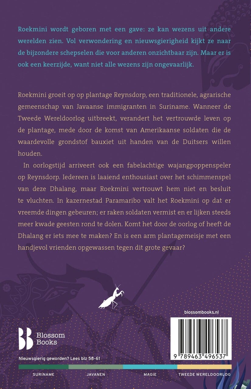 Schaduwtemmer (E-book)